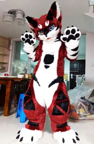 Costume lungo pelliccia husky