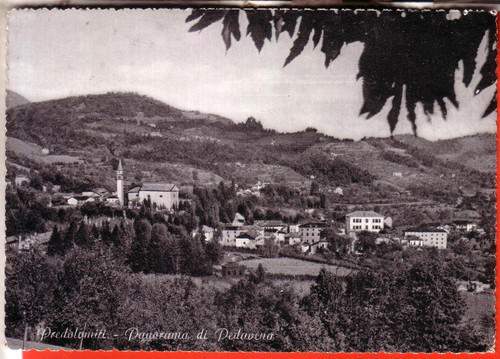 Cartolina pedavena b n - pedavena,