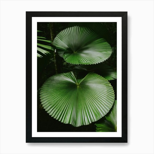 Quadro stampa artistica