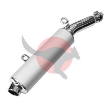 TERMINALE SCARICO (Silencer)