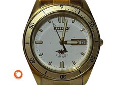 Citizen Automatic Eagle anni