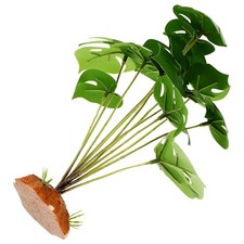  Piante Finte Per Terrario Decorazione Del Serbatoio Rettili Acquario