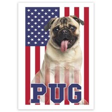 Adesivo regalo pug usa - adesivo,