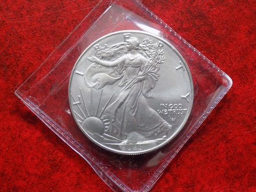 Stati uniti 2023 oncia silver - uniti.,