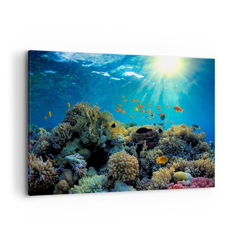 Quadro tela 120x80cm - su,