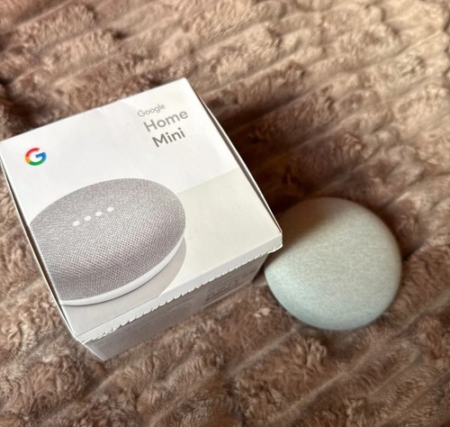 Google home mini grigio - home,