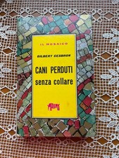 Cani perduti senza collare