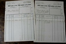 Antico Estratto partitario dei terreni e fabbricati ISTRUZIONE Mozzecane Verona