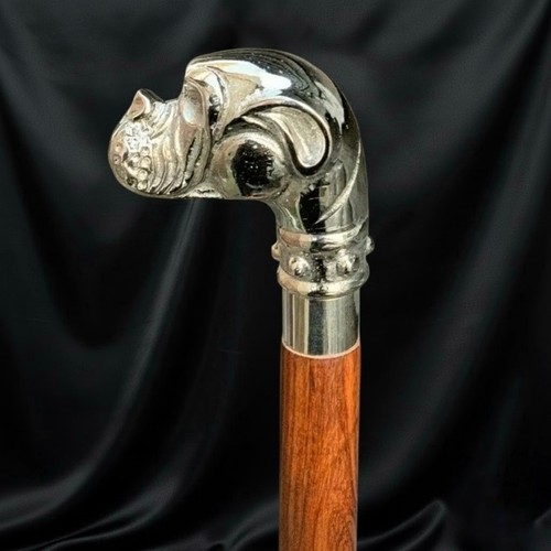 Bastone passeggio per cani - bastone,