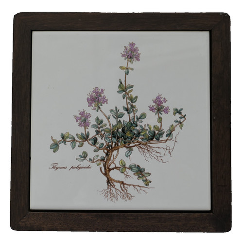 Villeroy boch botanica - boch,