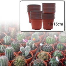100 pezzi piccoli - , vasi