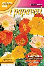 300 semi seeds - semi/seeds, papavero