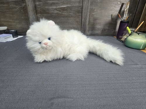 Peluche gatto persiano bianco