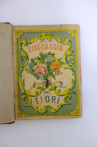 Linguaggio dei fiori - linguaggio, carlo