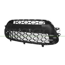 Griglia Centrale Paraurti