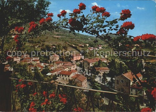 Arqua petrarca panorama - petrarca, colli