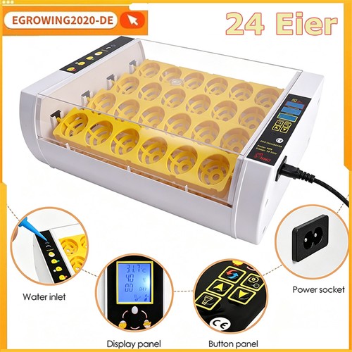 Incubatrice automatica 220v - 220v, 24