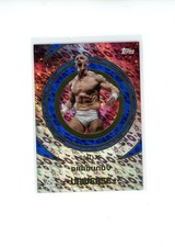 2025 Topps WWE Universe Ilja