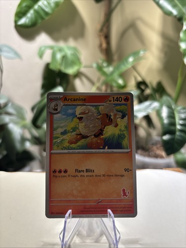 Arcanine pokemon first - arcanine,