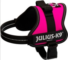 Julius K9 Pettorina per cani.