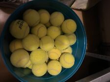 Set 50 PALLINE palle da tennis usate varie marche gioco CANI e ALLENAMENTO BIMBI