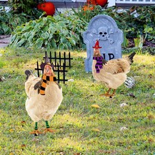  2 pezzi di pollo di pollo