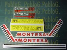 Montesa Cappra 250 VG