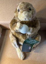 Gopher Golf Club Copertura