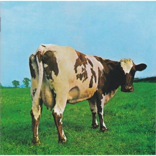 Pink floyd atom - –, heart