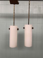 Coppia Di Lampadari Sospesi In Plastica Anni 50/60