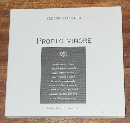 Profilo minore federico - minore, di