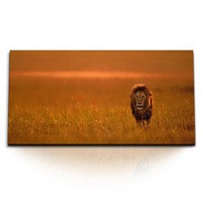 Stampa artistica 120x80 cm