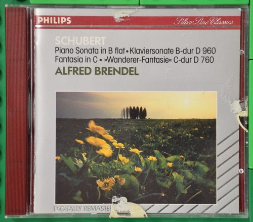 Schubert sonata 960 - schubert,