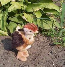 Emu uccellino pulcino peluche