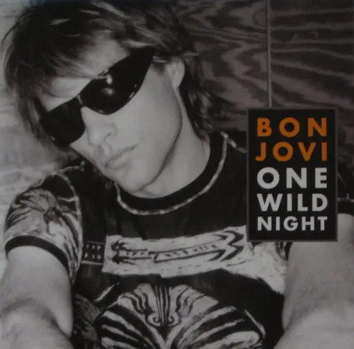 Singolo bon jovi one - cd, wild