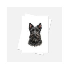 Scottish terrier biglietto - terrier,
