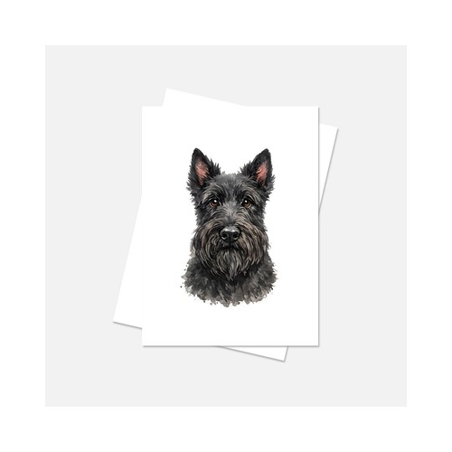 Scottish terrier biglietto - terrier,