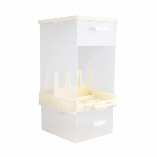 Mangiatoia plastica - in,