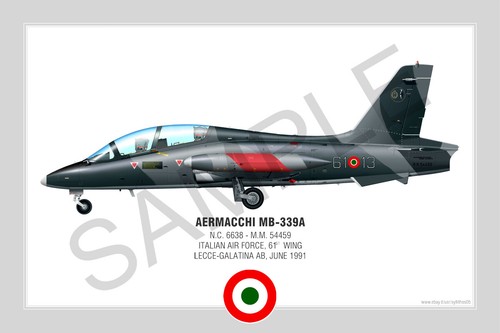 Aermacchi 339a squadron - aermacchi,