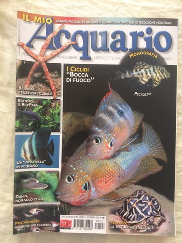 Mio acquario 122 - acquario, n.122