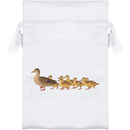 Duck family following - family, following'