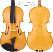 T31+ Superbo Maestro