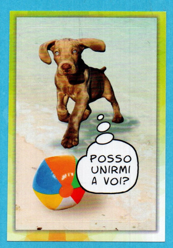 Amici cucciolotti - amici,