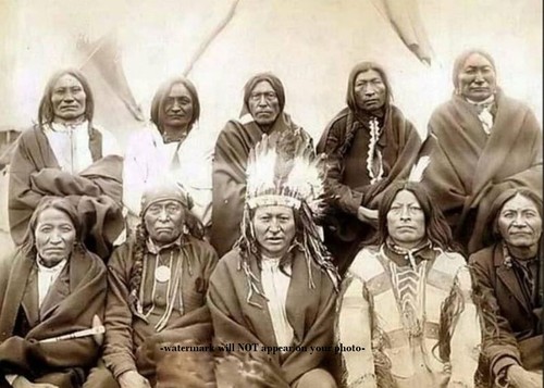 1891 lakota sioux chiefs - sioux,