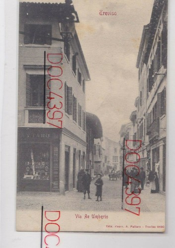 Treviso via umberto animata - via,