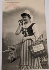 TARTUFO MAIALE TRUFFES DU