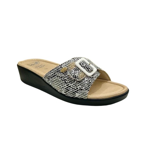 Scholl mango ciabatta - dr,