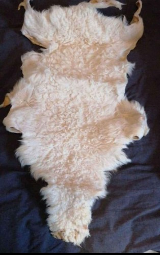 Tappeto originale 70x40 nuovo