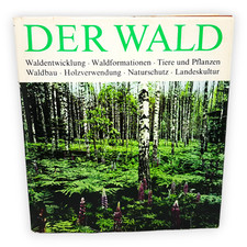 Der Wald Waldentwicklung