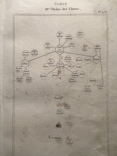 Antica illustrazione 1835 - antica,